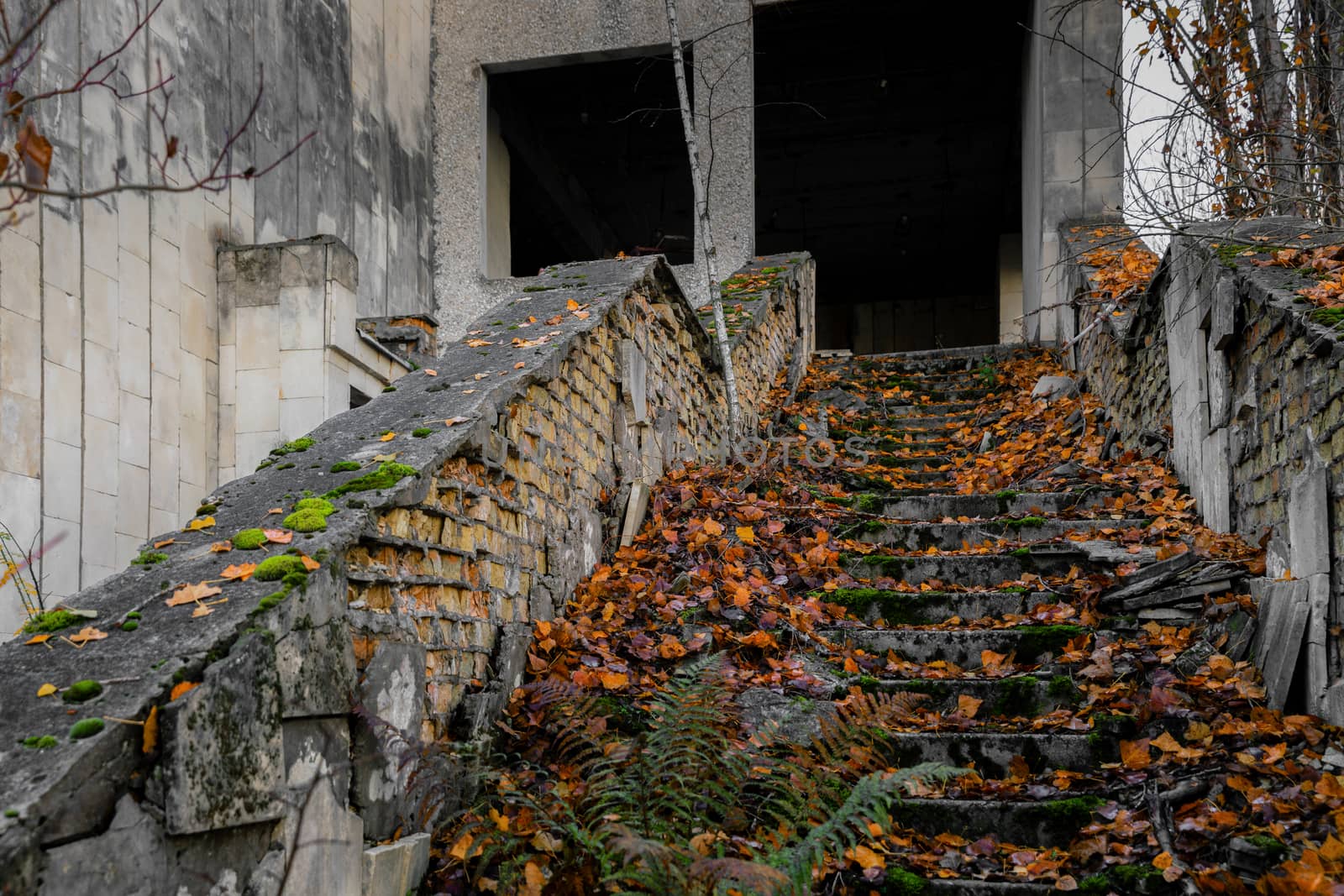 Abandoned staircase angle shot by svedoliver