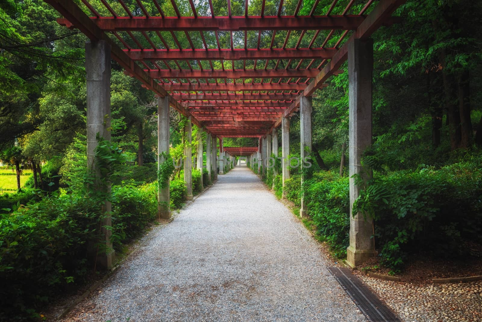 Green path in beautiful summer garden angle shot