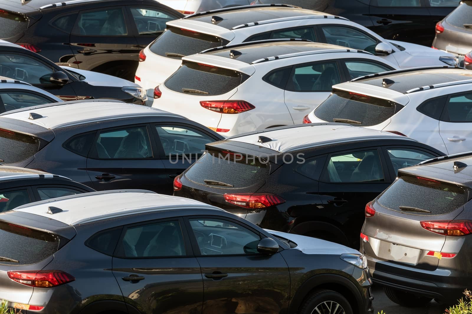 Lot of cars being transported to trade location closeup photo