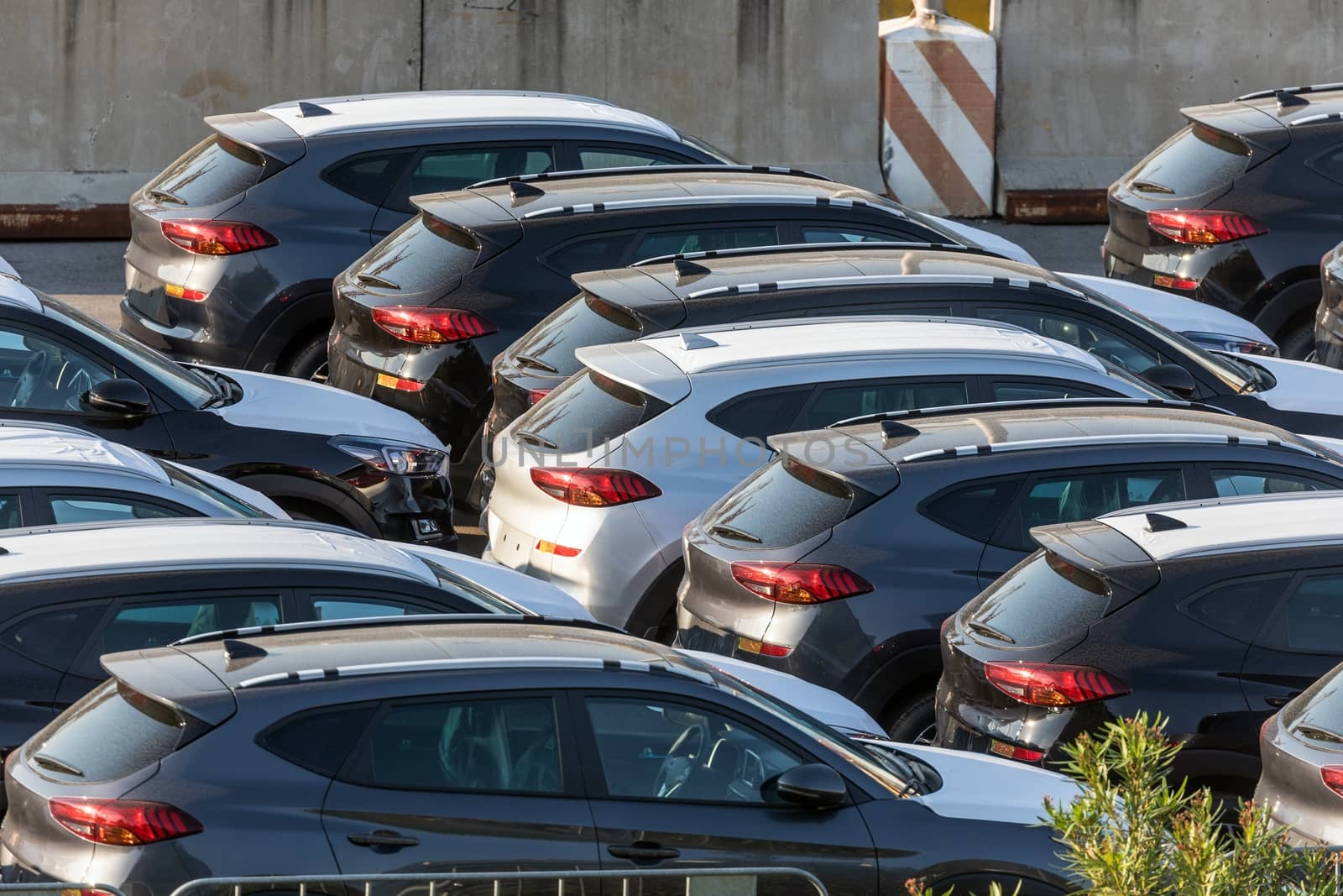 Lot of cars being transported to trade location closeup photo