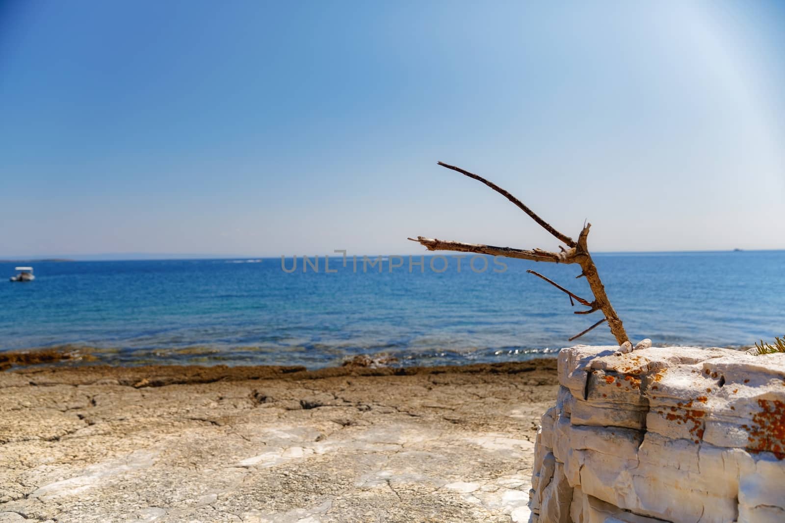 Shores of an island in the mediterraneans scenic photo