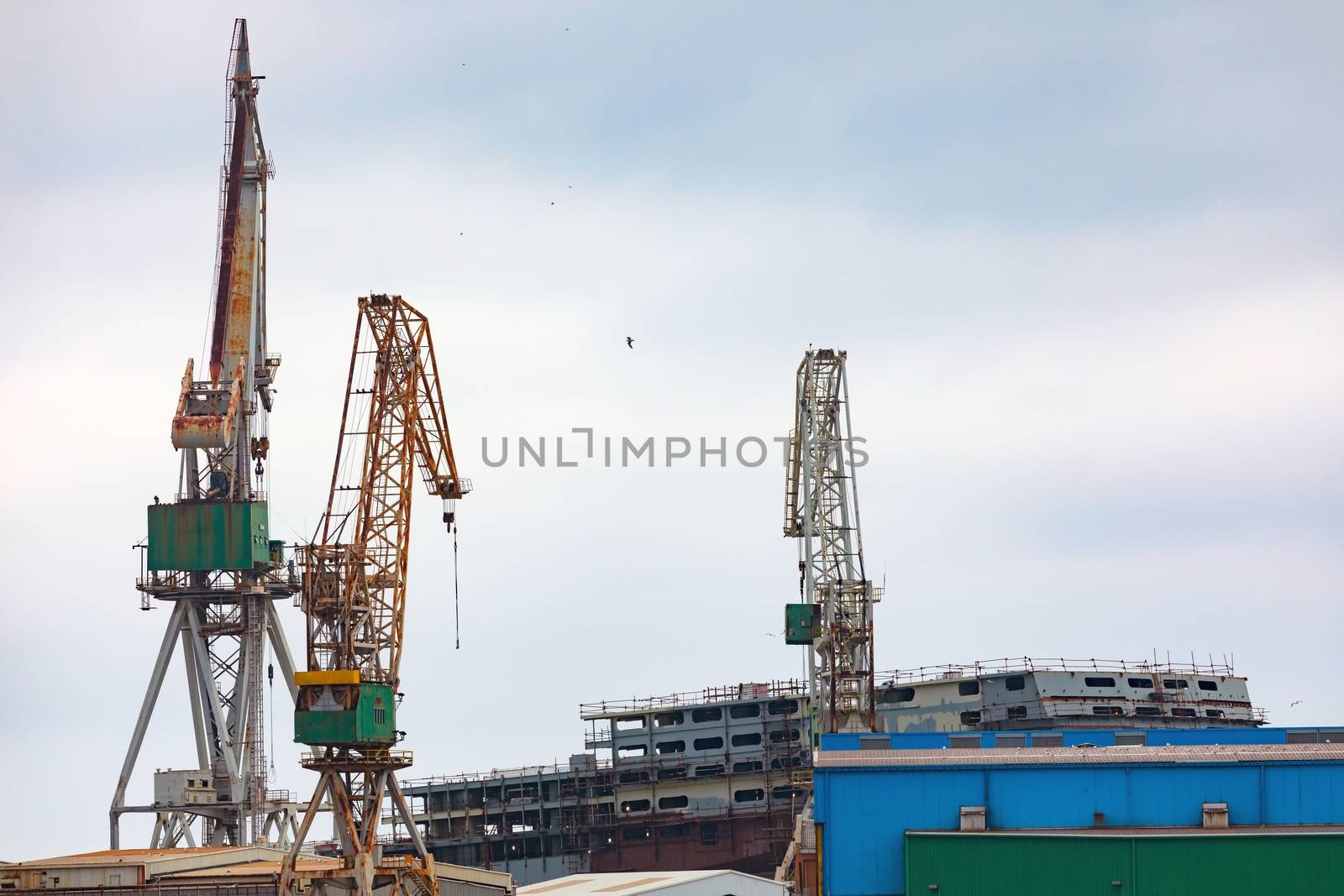 Large shipyard near the coast in Croatia