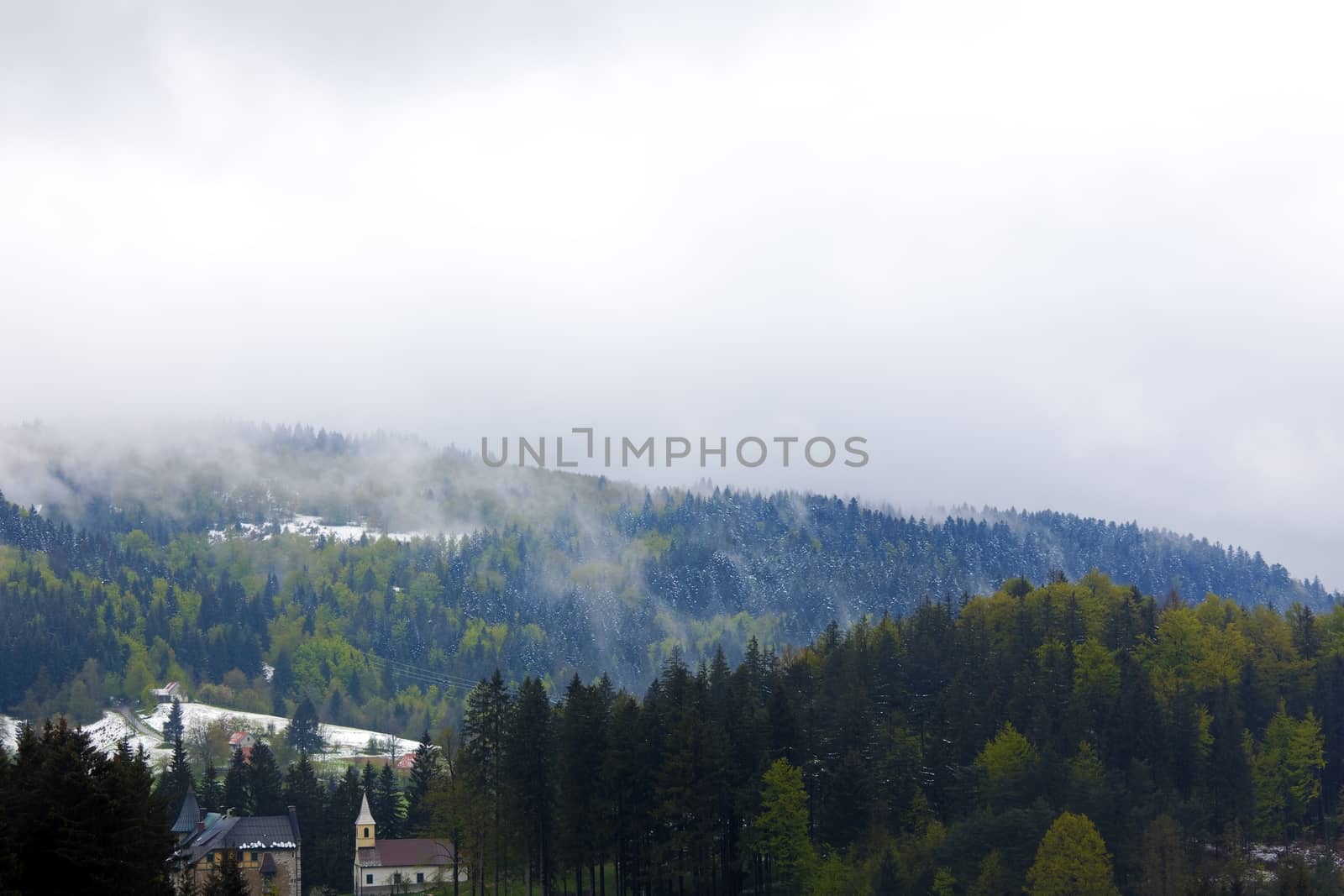 Large forest on the mountains as background texture