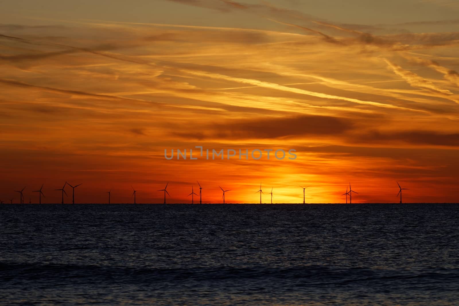 Windfarm on the sea at sunset closeup