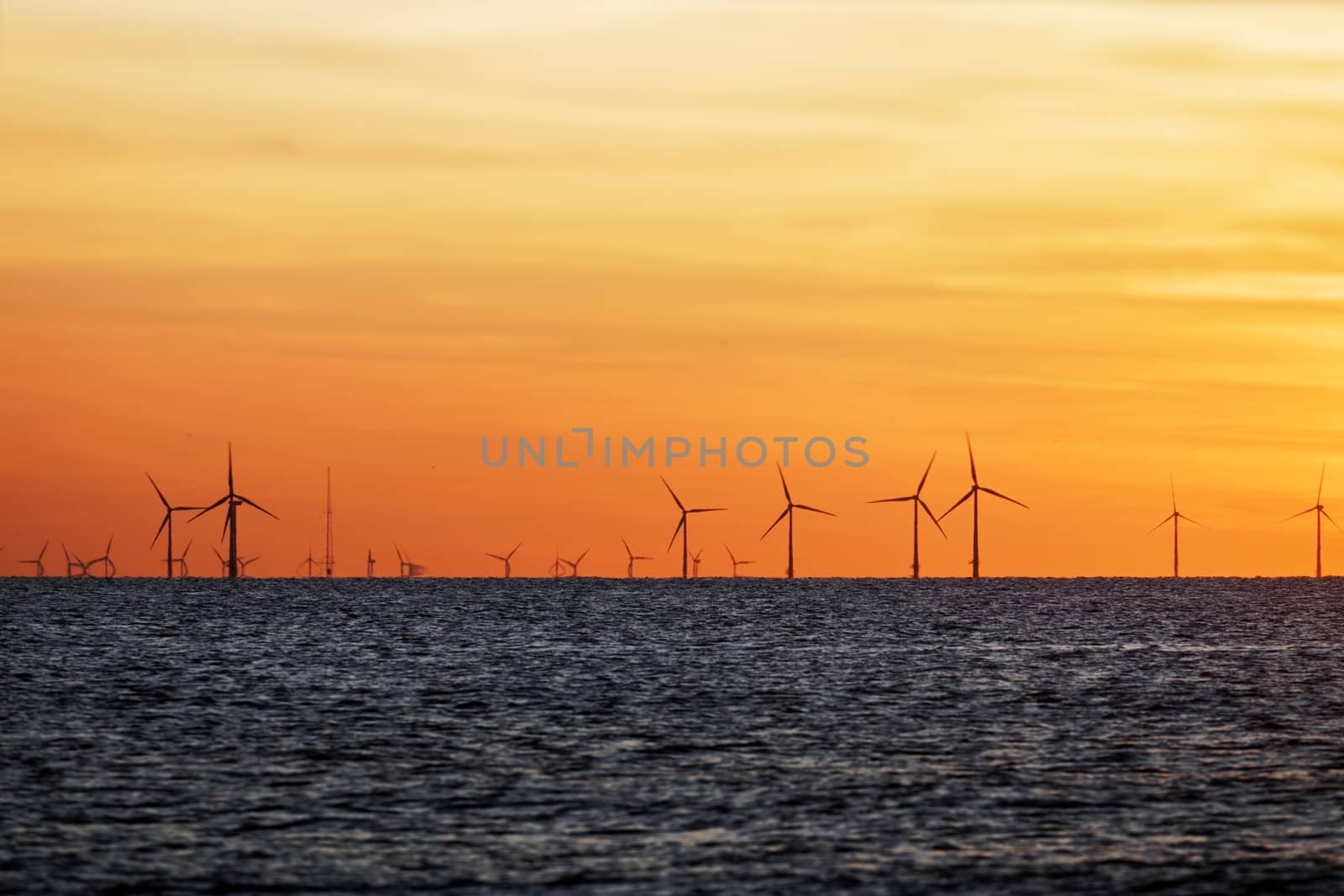 Windfarm on the sea at sunset closeup