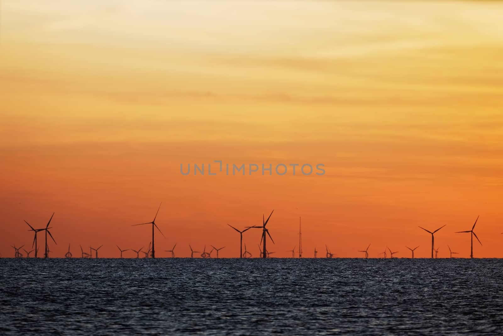 Windfarm on the sea at sunset closeup