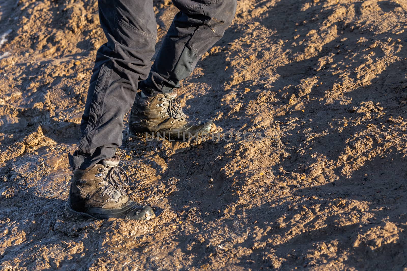 legs in gray pants and trek boots hiking upwards on muddy hill at evening sunlight.