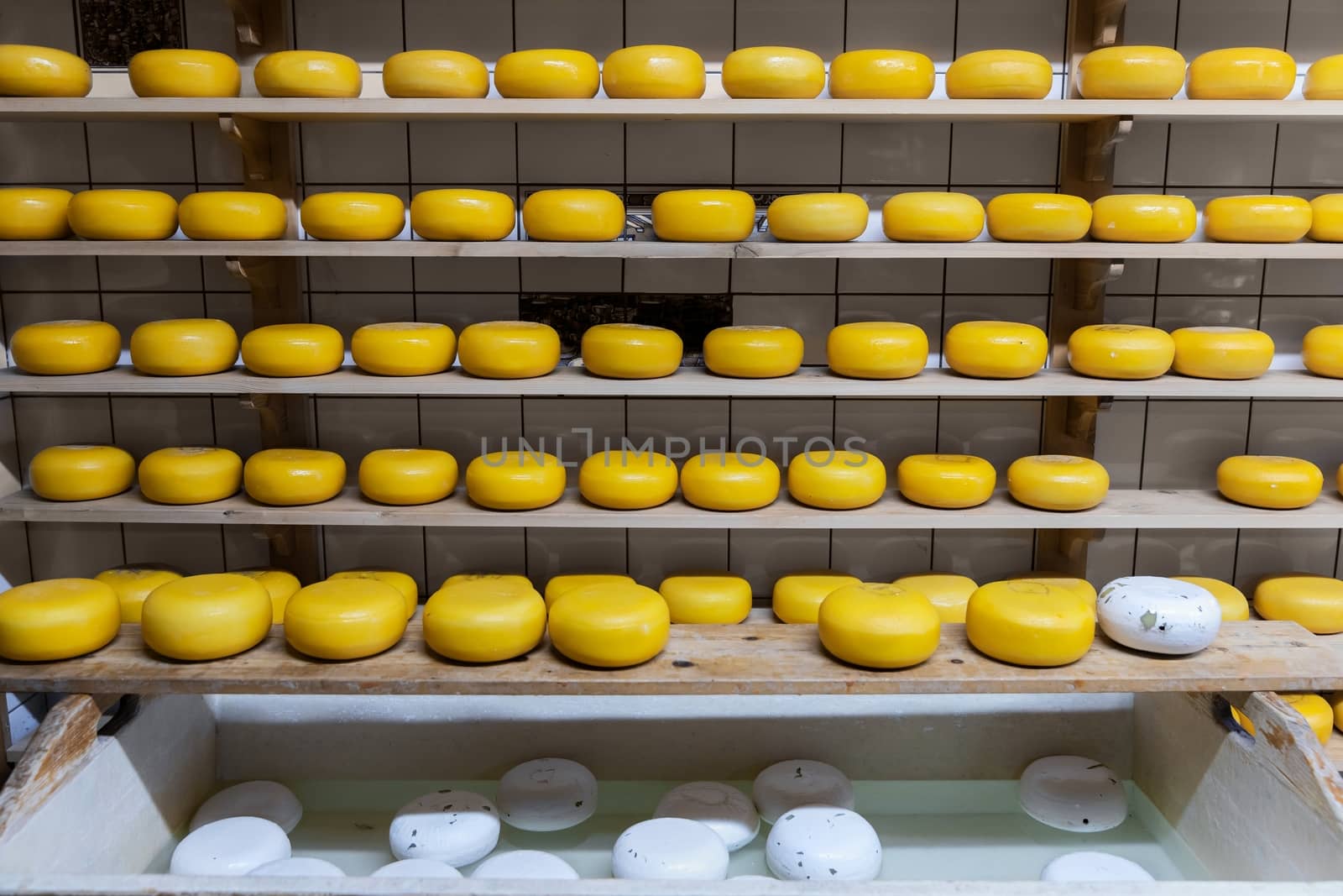 Lots of hole cheese in the factory