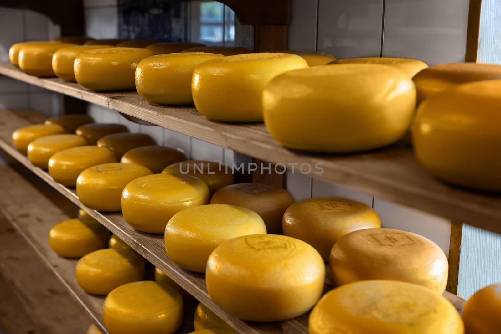 Lots of hole cheese in the factory