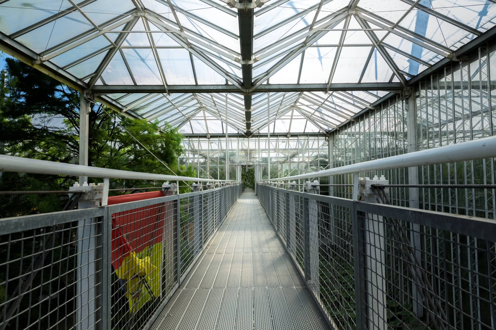 Green-house with steel bridge angle shot