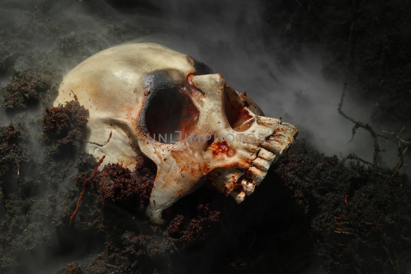 Human skull on the wet soild with smoke flowing closeup