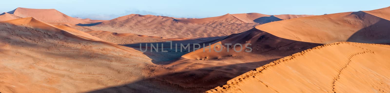 Panoramic view from the sickle shaped sand dune next to Sossusvlei towards the north. Sand dunes and footprints are visible