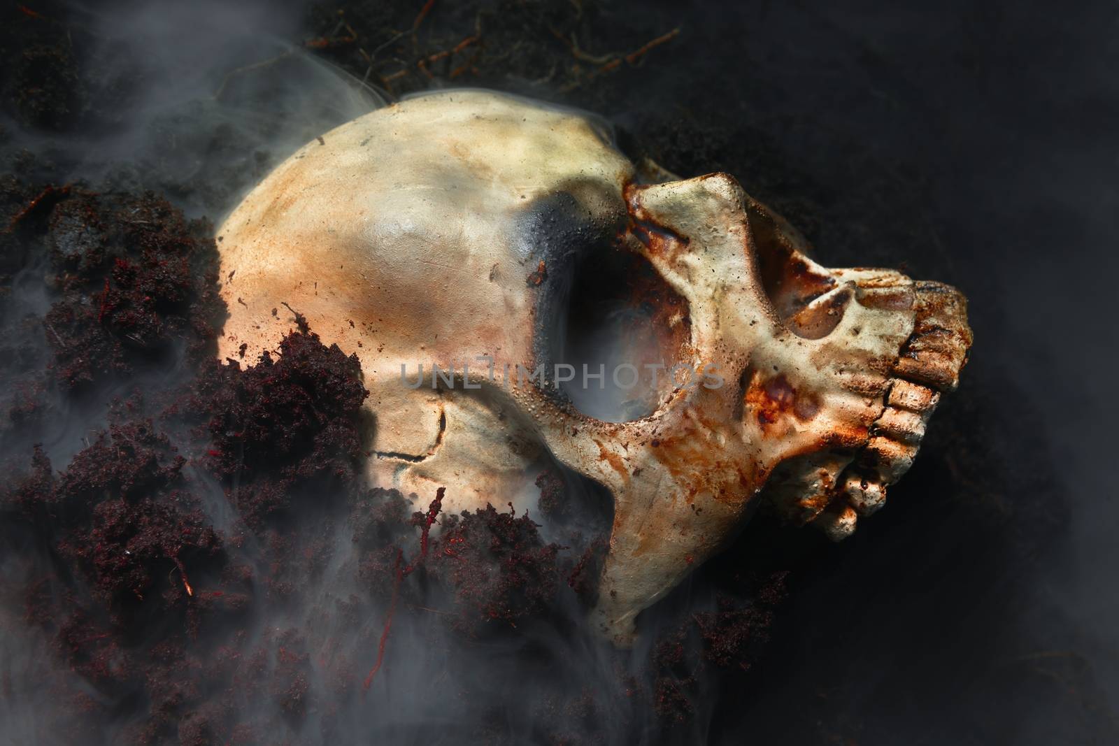 Human skull on the wet soild with smoke flowing closeup