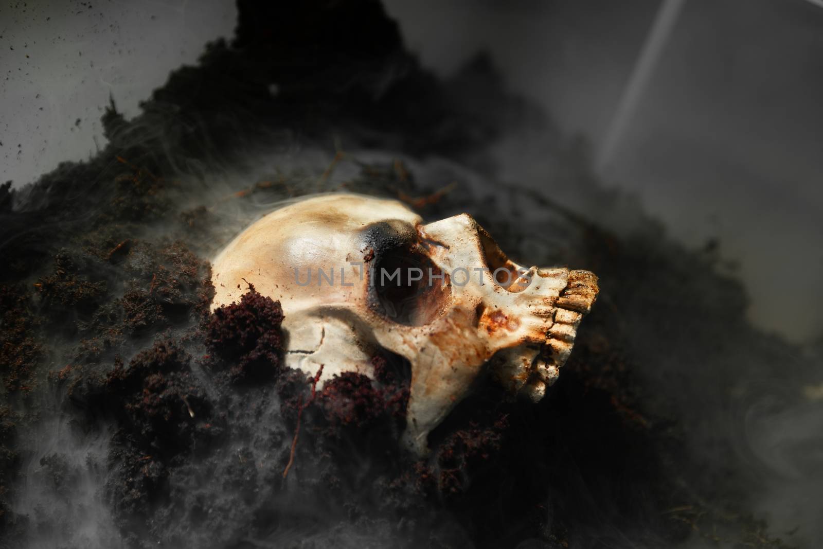 Human skull on the wet soild with smoke flowing closeup