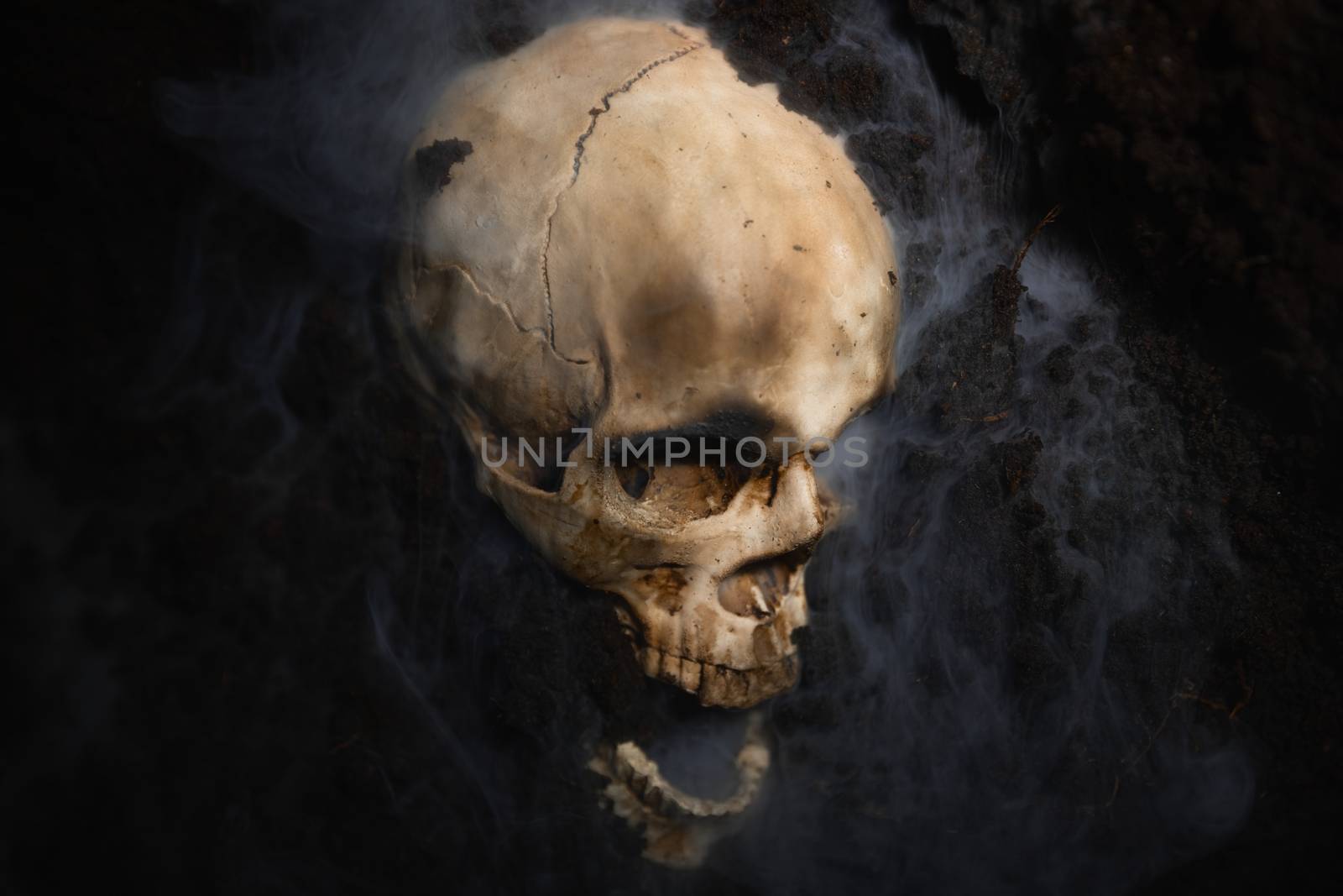 Human skull on the wet soild with smoke flowing closeup