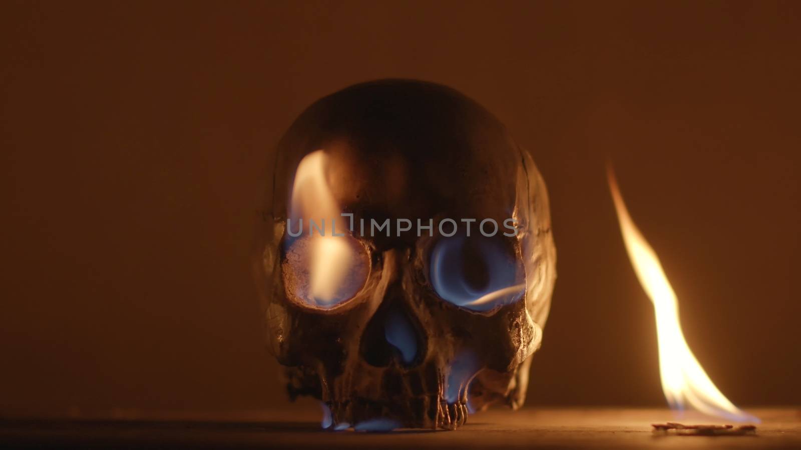 Burning human skull closeup photo by svedoliver