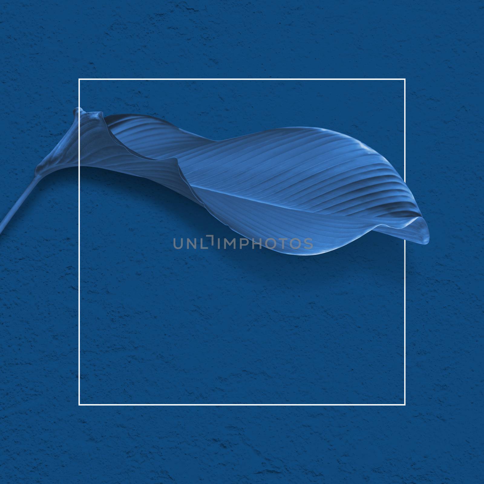 Classic blue pantone design of tropical foliage with white frame by Myimagine