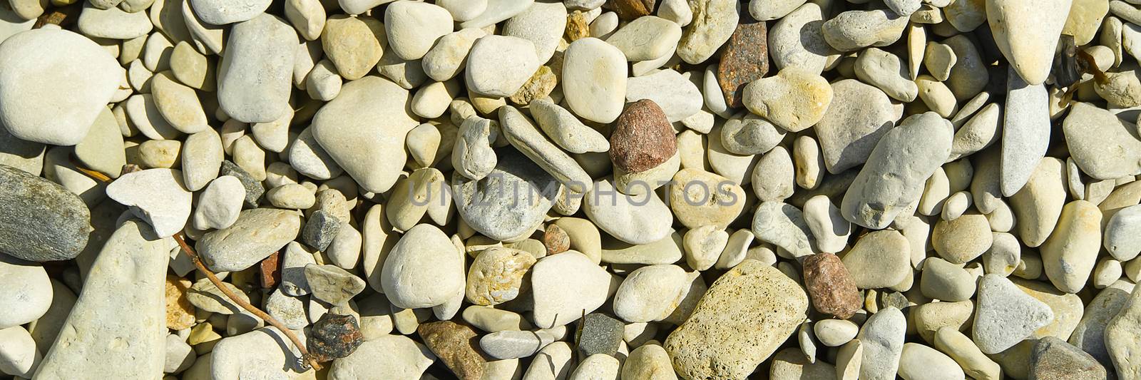 Baltick Sea beach. Natural small pebbles on the rocky seashore, panorama. can be usedas texture or backround. by PhotoTime
