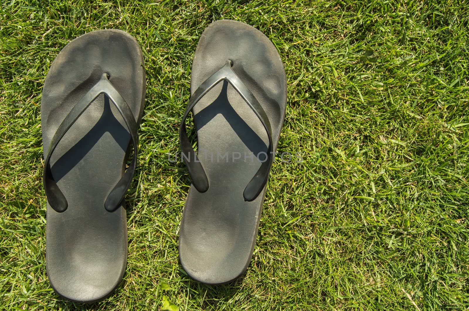 A pair of black rubber flip-flops on the green grass of the lawn with a copy of the space, in summer, outdoors by claire_lucia