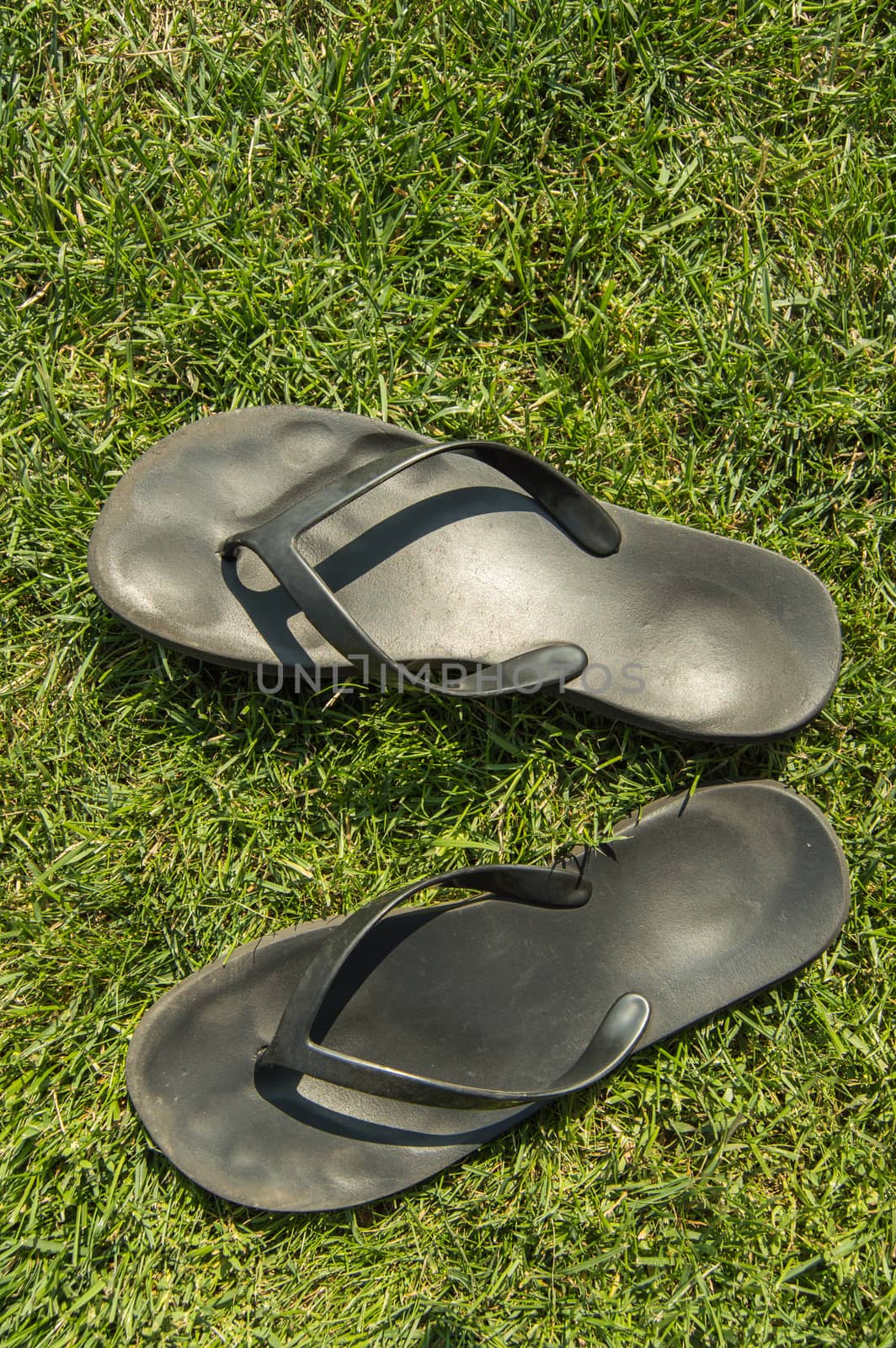 A pair of black rubber flip-flops on the green lawn grass with a copy of the space, summer, outdoor, top view, vertical frame by claire_lucia