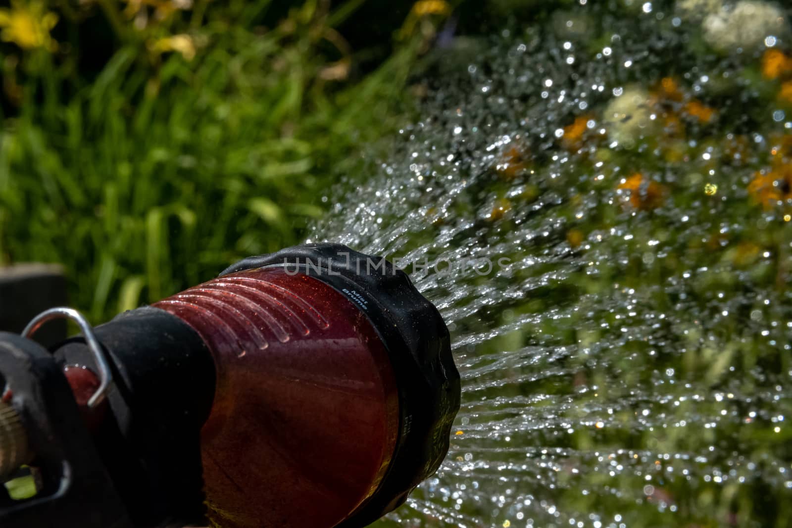 Garden hose nozzle spraying water by colintemple