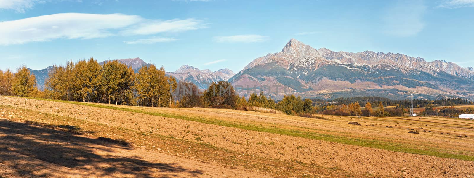 Mount Krivan peak Slovak symbol with blurred autumn coloured trees and dry field in foreground wide panorama, Typical autumnal scenery of Liptov region, Slovakia.