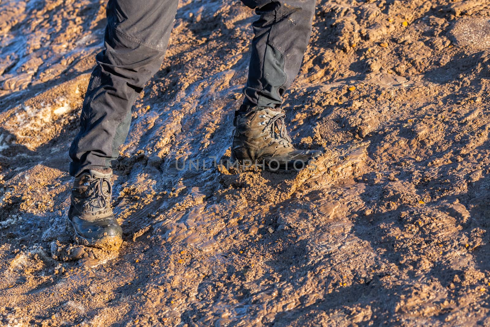 legs in gray pants and trek boots hiking upwards on muddy hill at evening sunlight.