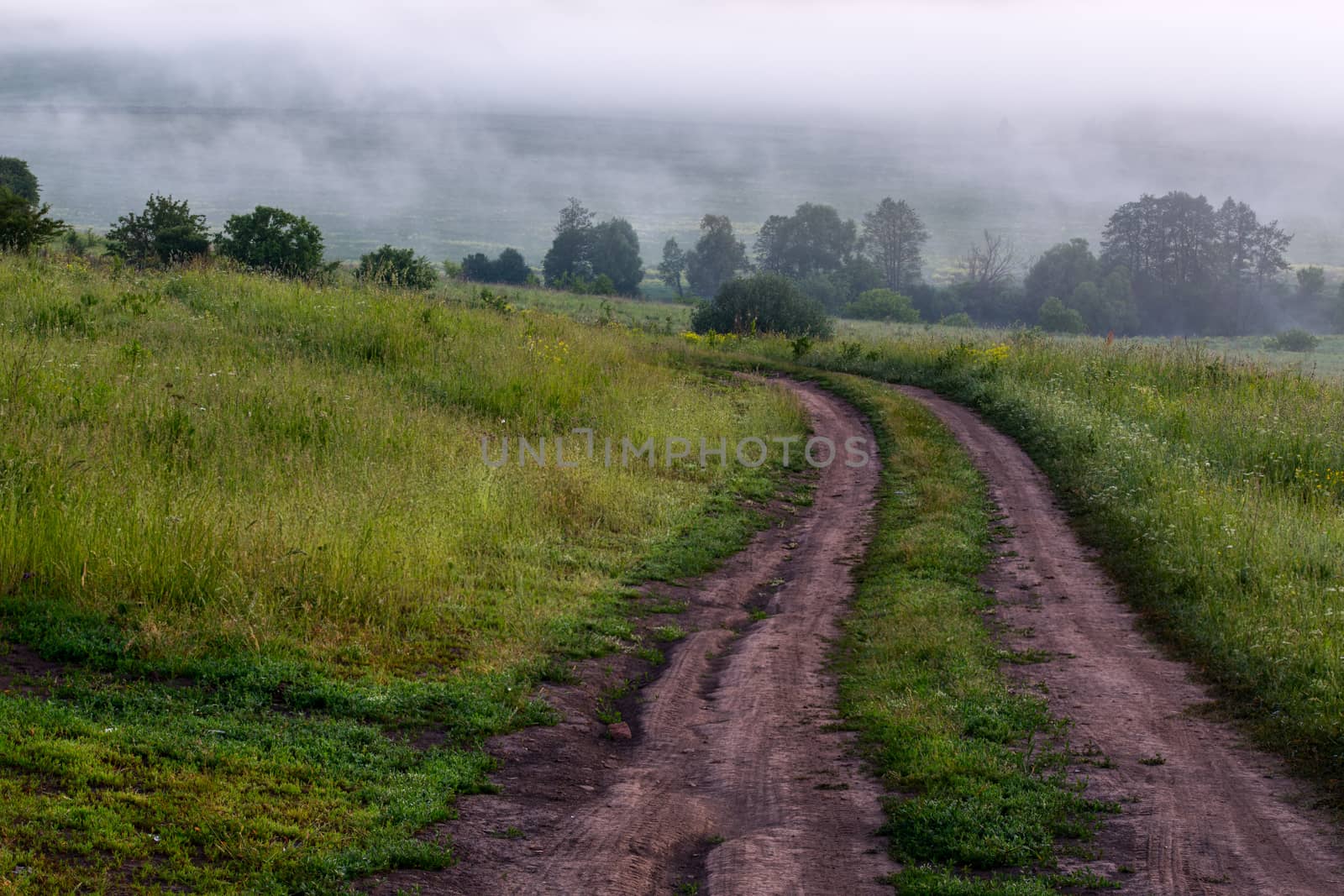 dry summer dirt road at misty morning outdoors by z1b