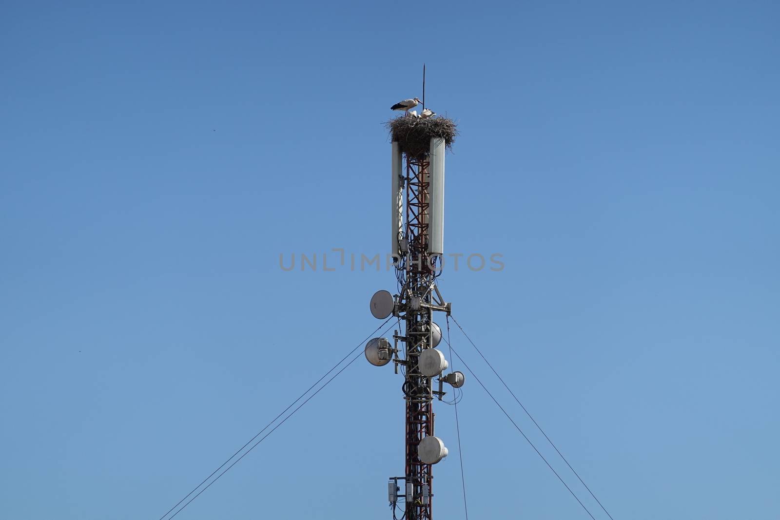 a cell tower anthena. High quality Photo by devoxer