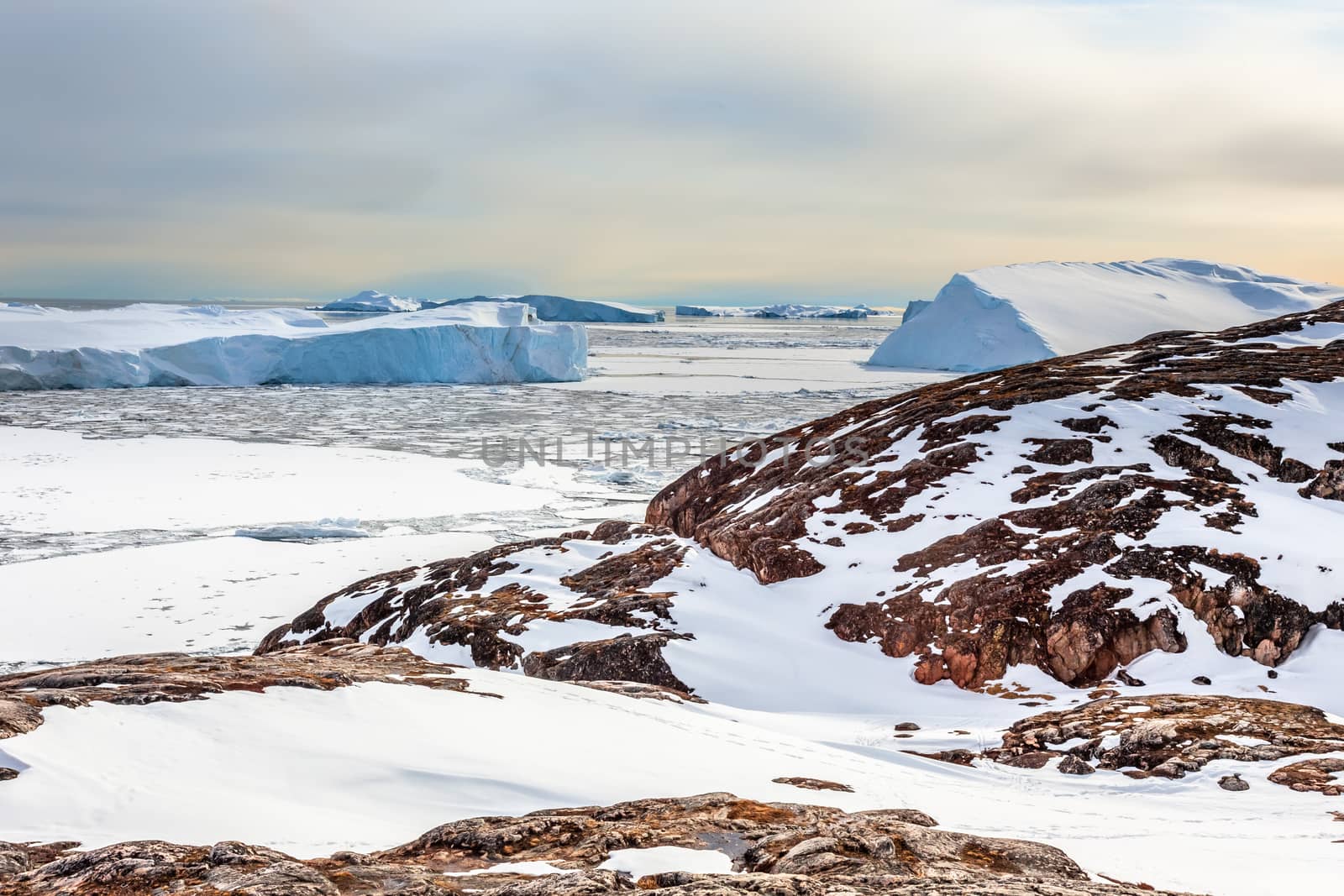 Ice fields and drifting icebergs with rocks in foreground, at the Ilulissat fjord, North Greenland