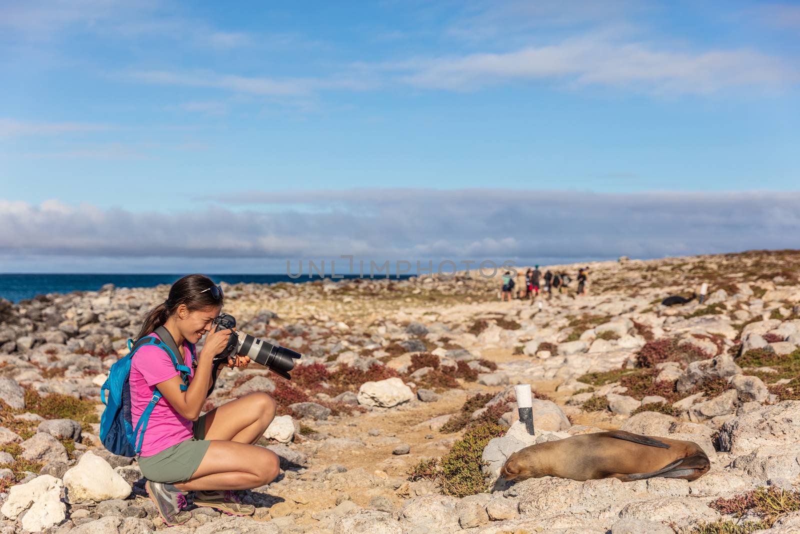 Galapagos tourist taking pictures of Sea Lion on North Seymour by Maridav