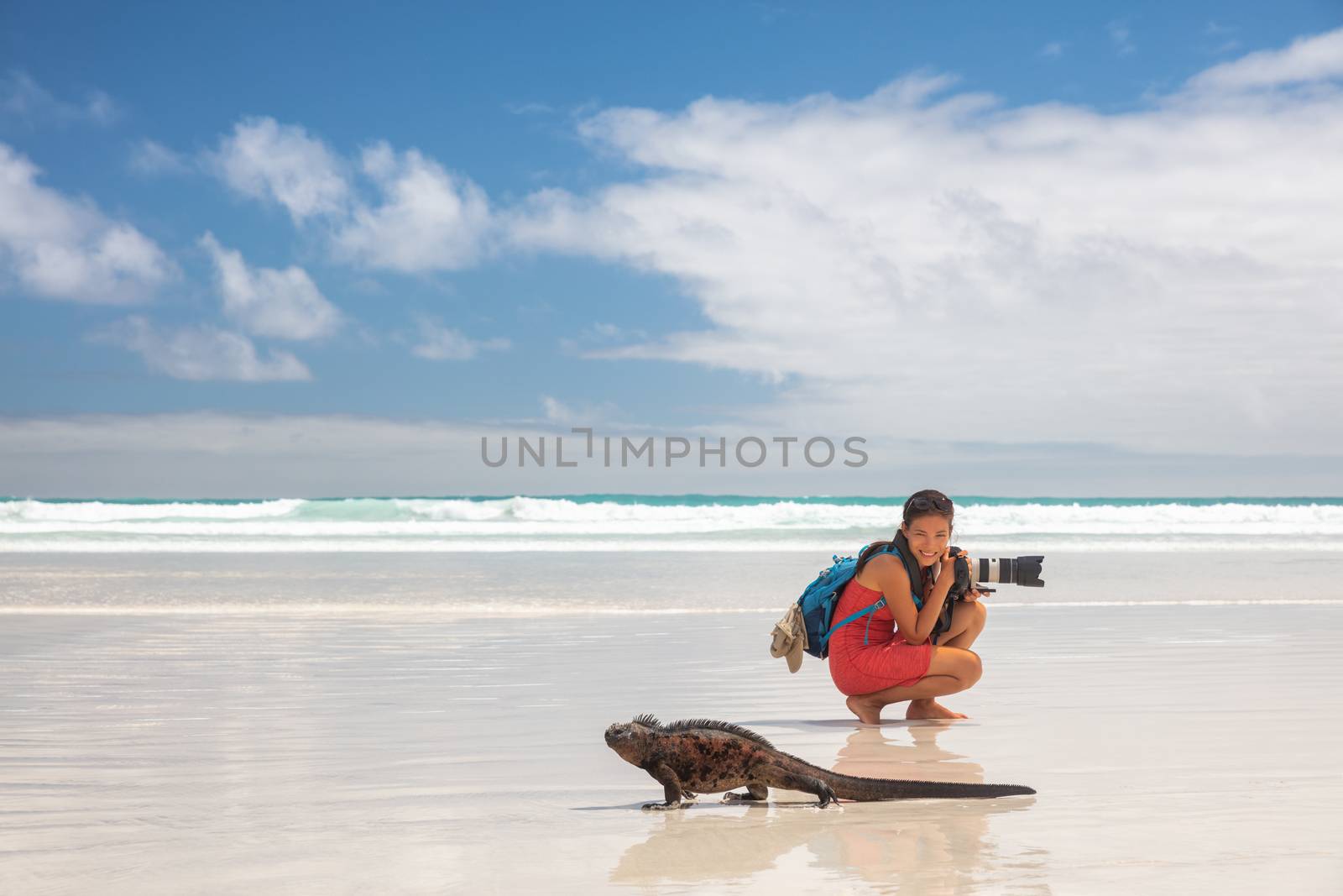Travel adventure tourist nature photographer on Galapagos beach with Iguana by Maridav