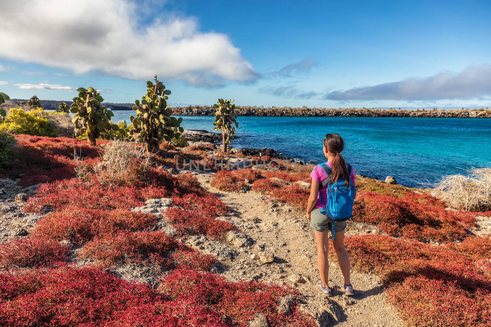 Galapagos tourist on adventure hiking enjoying landscape and animals on North Seymour, Galapagos Islands. Amazing animals and wildlife during Galapagos cruise ship vacation travel