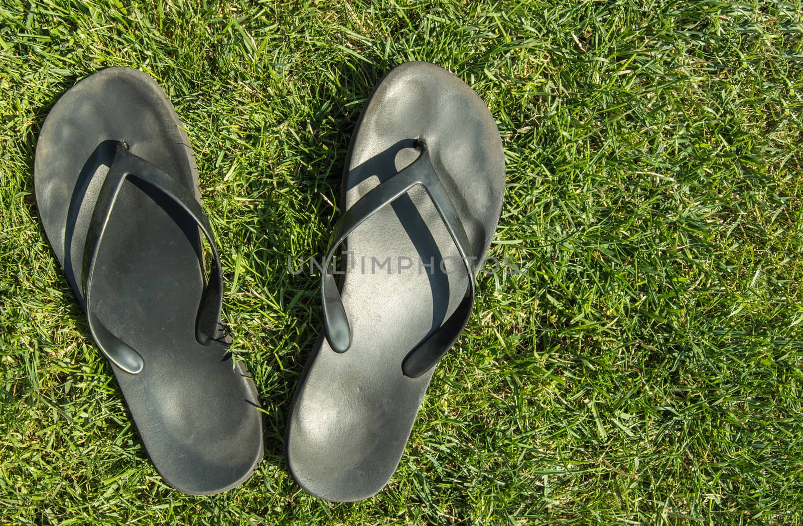 A pair of black rubber flip-flops on the green grass of the lawn with a copy of the space, in summer, outdoors.