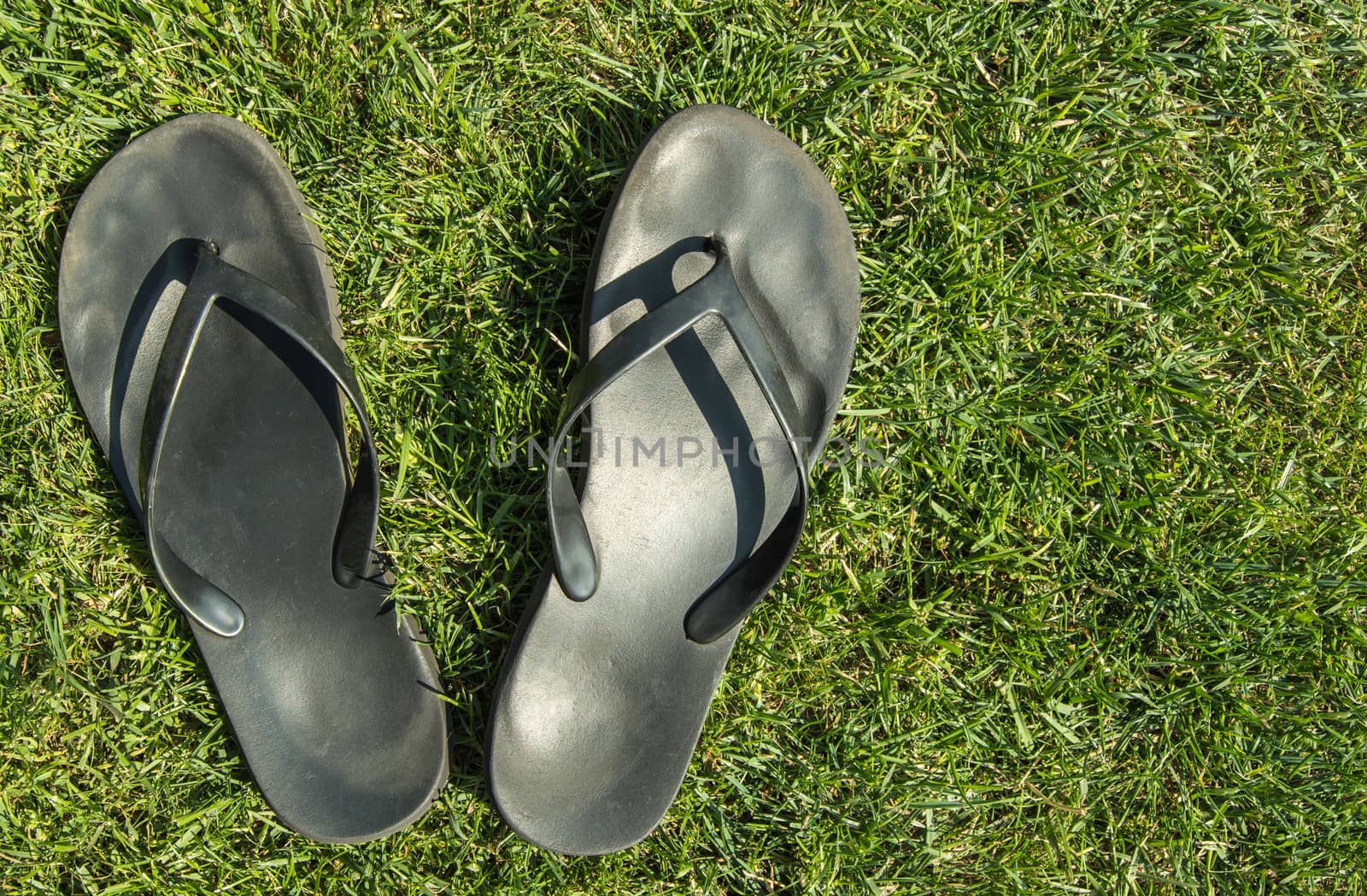 A pair of black rubber flip-flops on the green grass of the lawn with a copy of the space, in summer, outdoors by claire_lucia