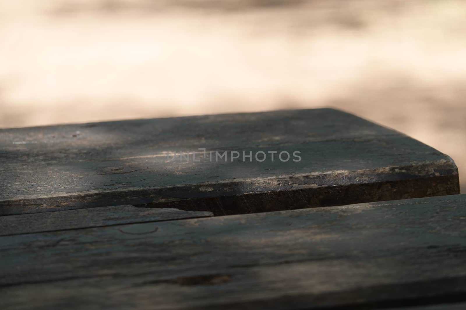 a forest table inthe shade of the trees. 