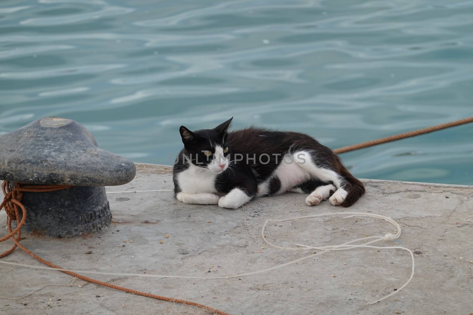 the life in the street. High quality Photo by devoxer