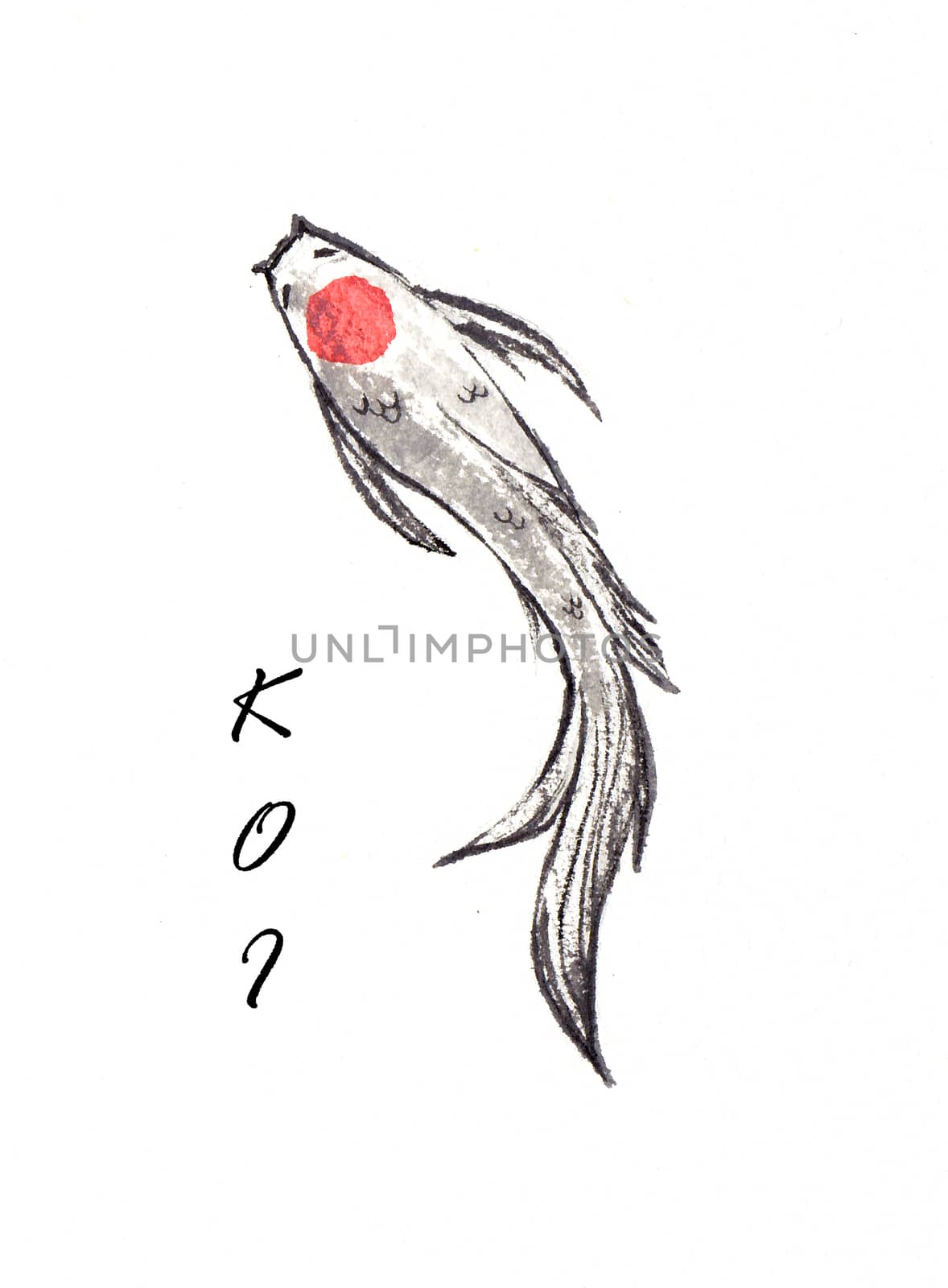 Beautiful and brilliantly colored Koi Carp fish on white background. Watercolor hand painting.  Symbol of good luck and prosperity. Chinese brush stroke technique. by Ungamrung