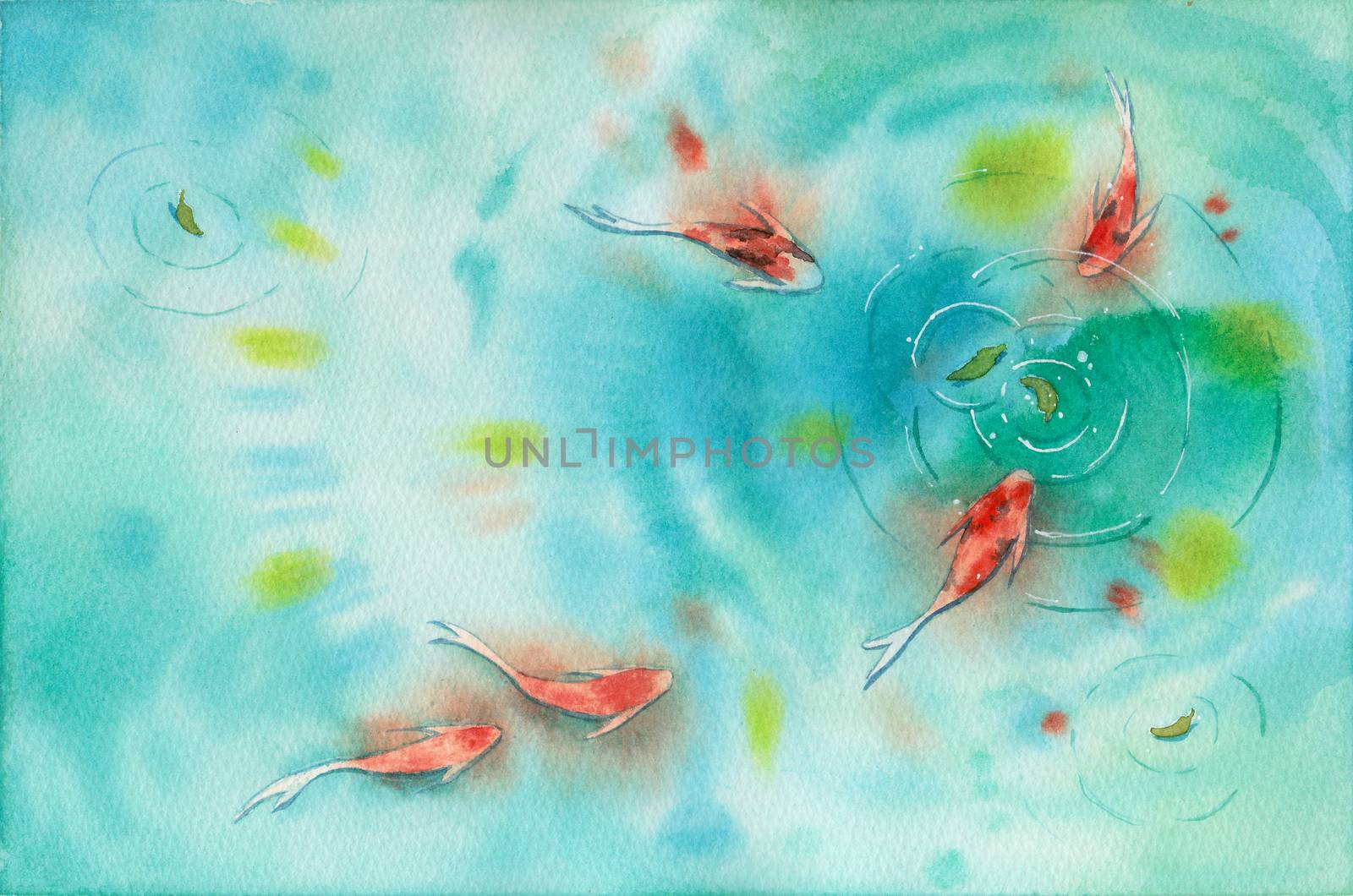Watercolor hand painting, koi carp fish in pond, symbol of good luck and prosperity