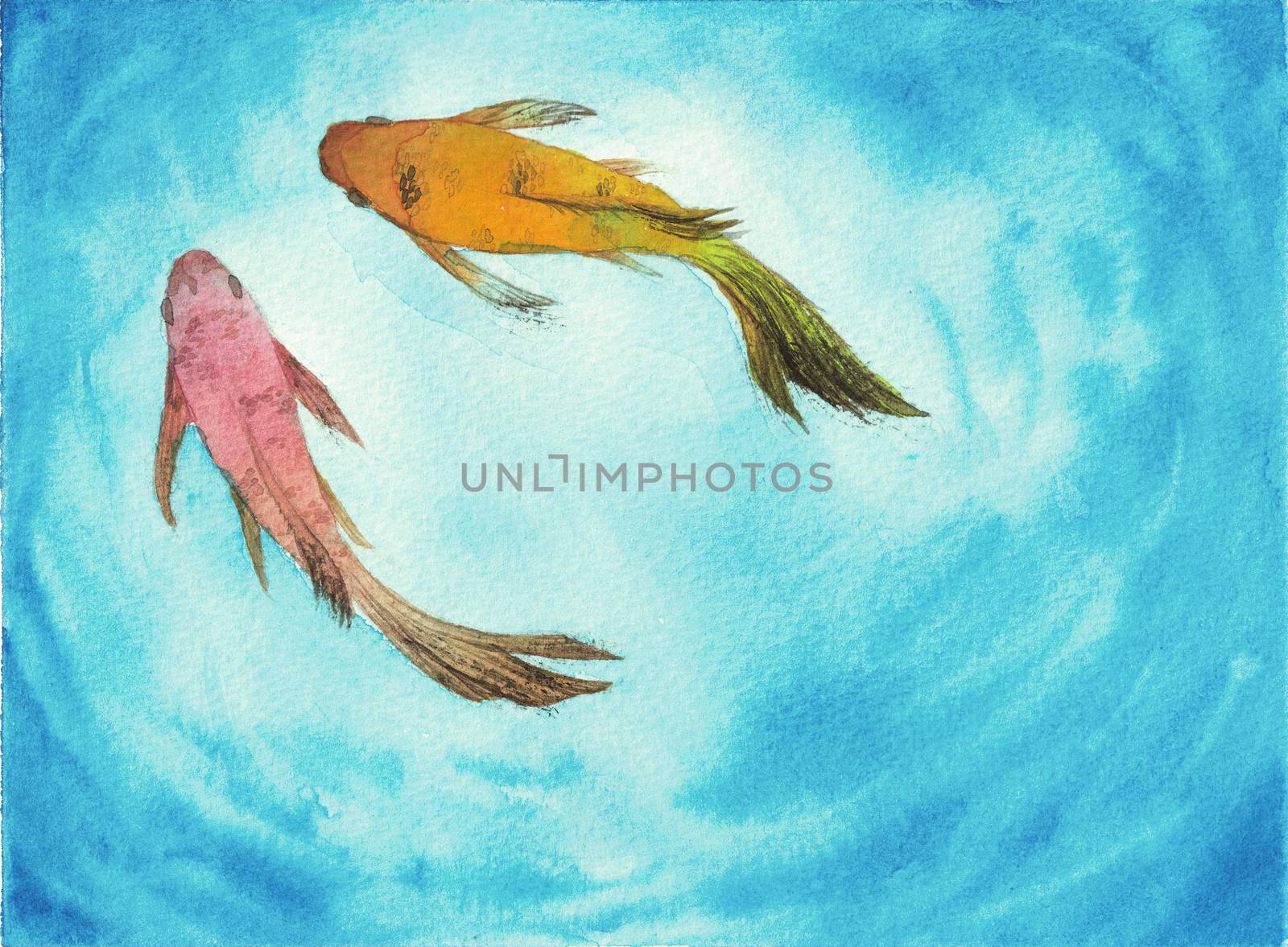 Watercolor hand painting, two koi carp fish in pond, symbol of good luck and prosperity