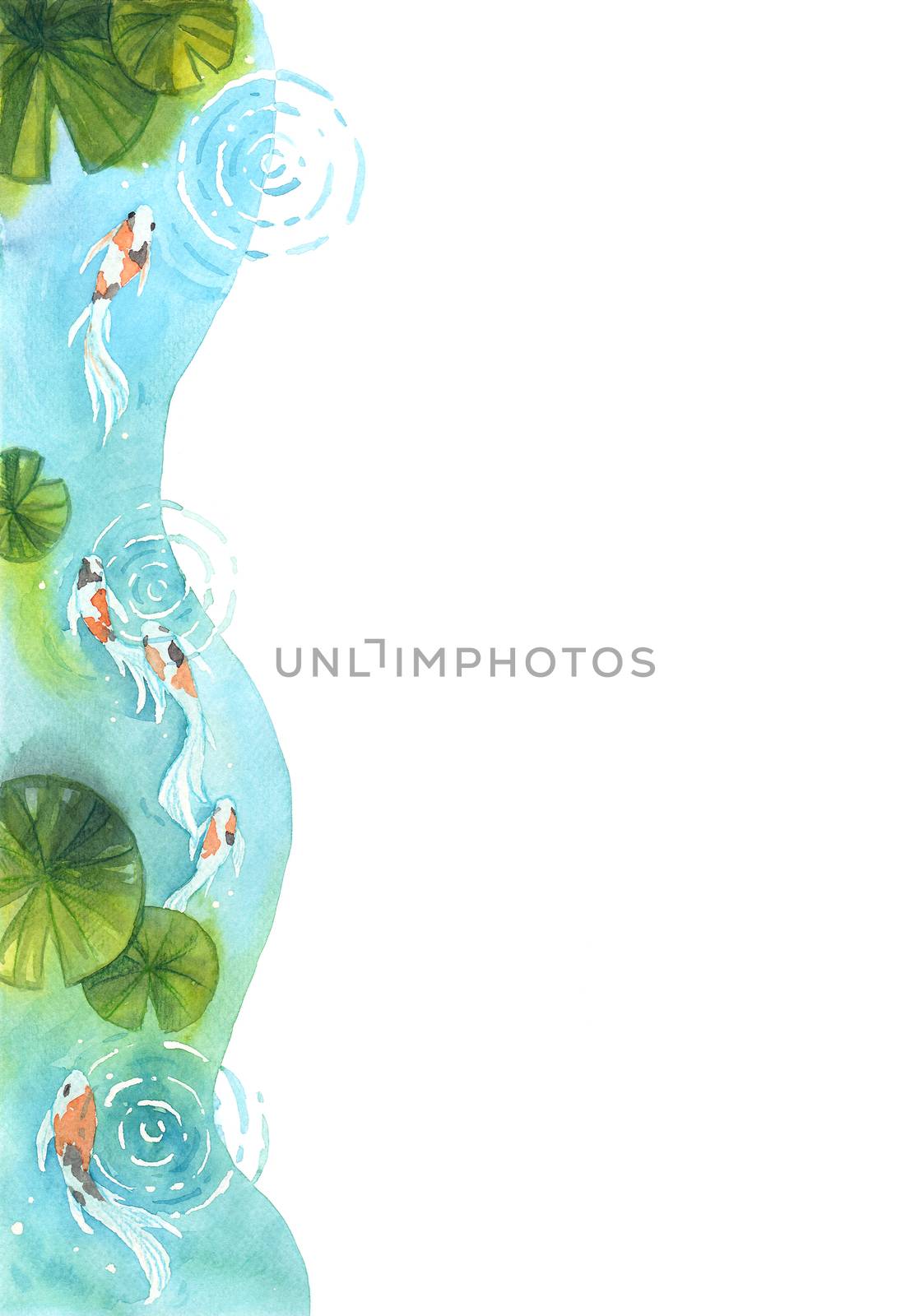 Koi fish swimming in water and water lilly leaves watercolor hand painting template background with text space. by Ungamrung