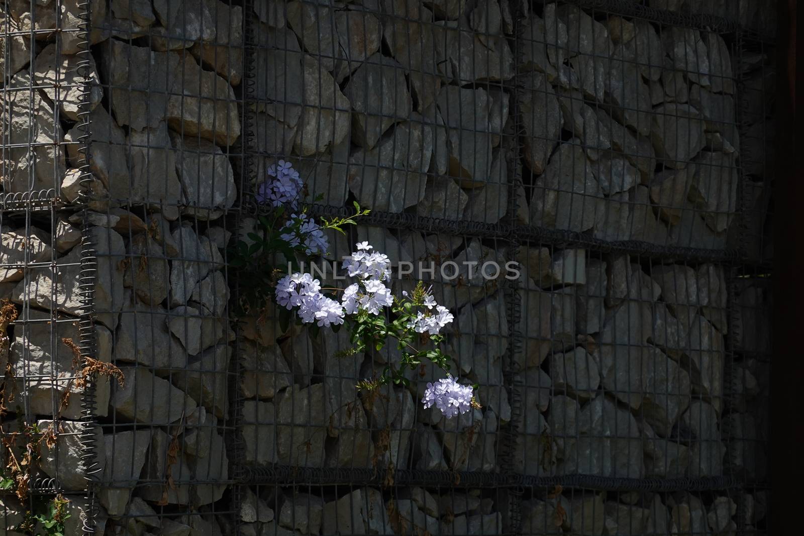 a cube of rock and plants. High quality Photo by devoxer