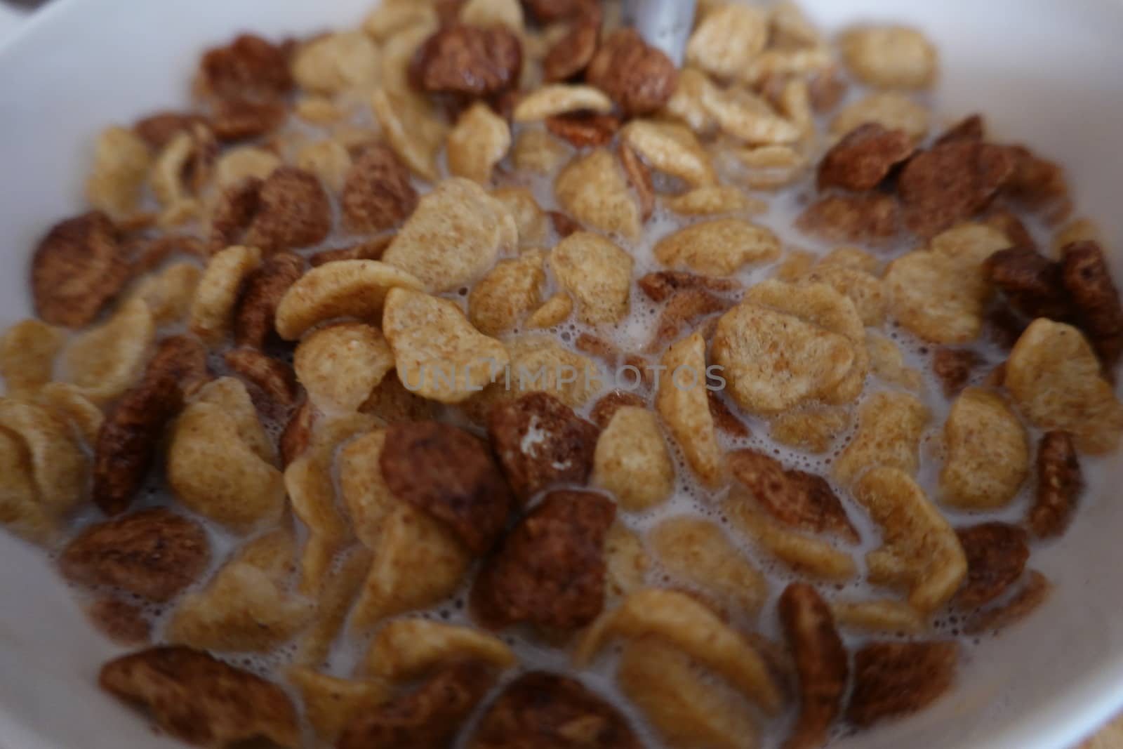 cerials in a bowl with milk