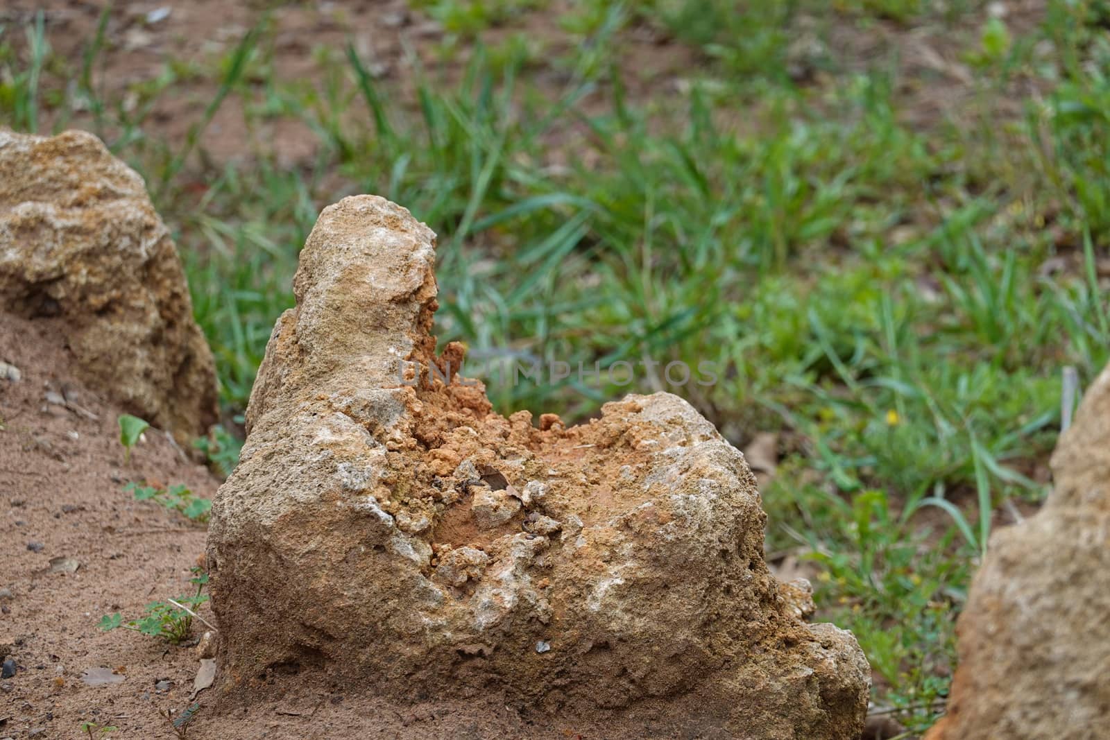 a brown rock in a High quality Photo.