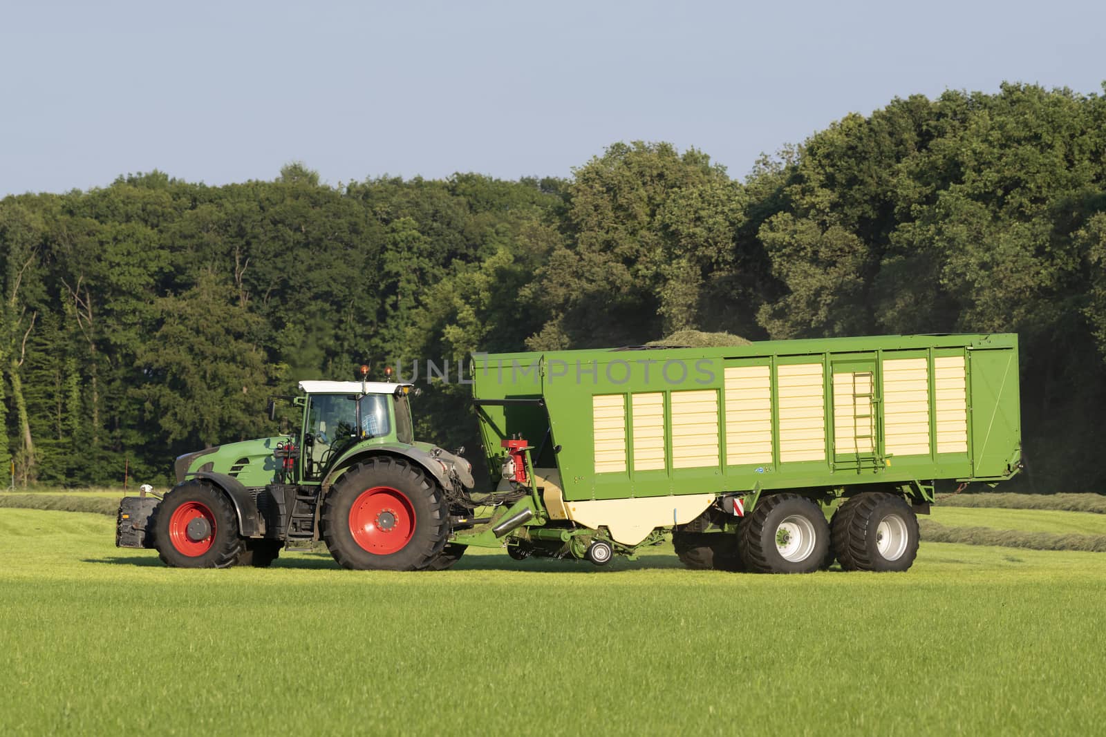 Green tractor picking up cut grass with a green loader wagon in the summer in the Netherlands