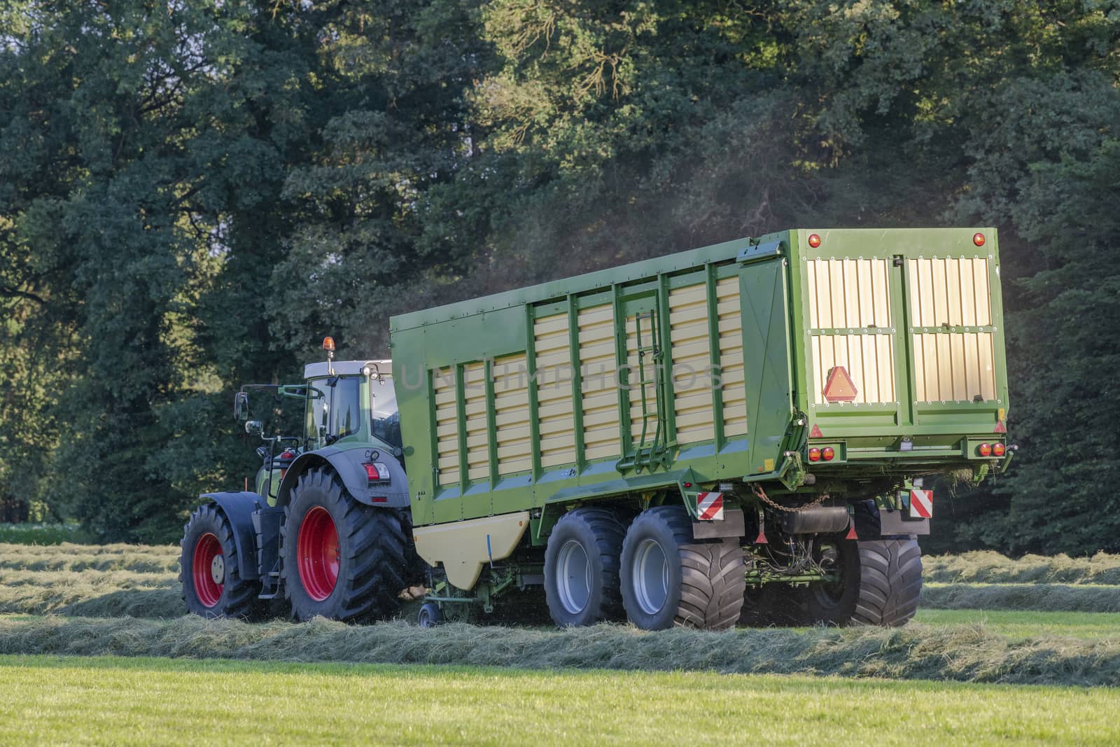 Green tractor picking up cut grass by Tofotografie