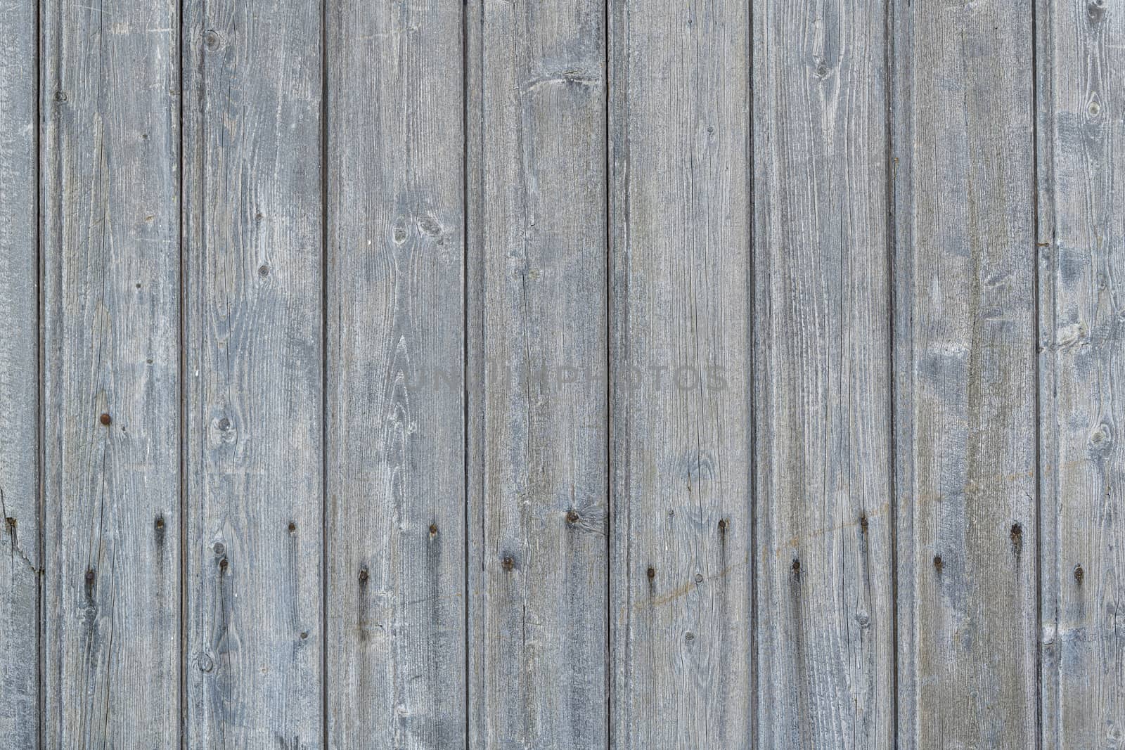 Background photo of weathered old gray wooden scrap with rusted nails shown full screen
