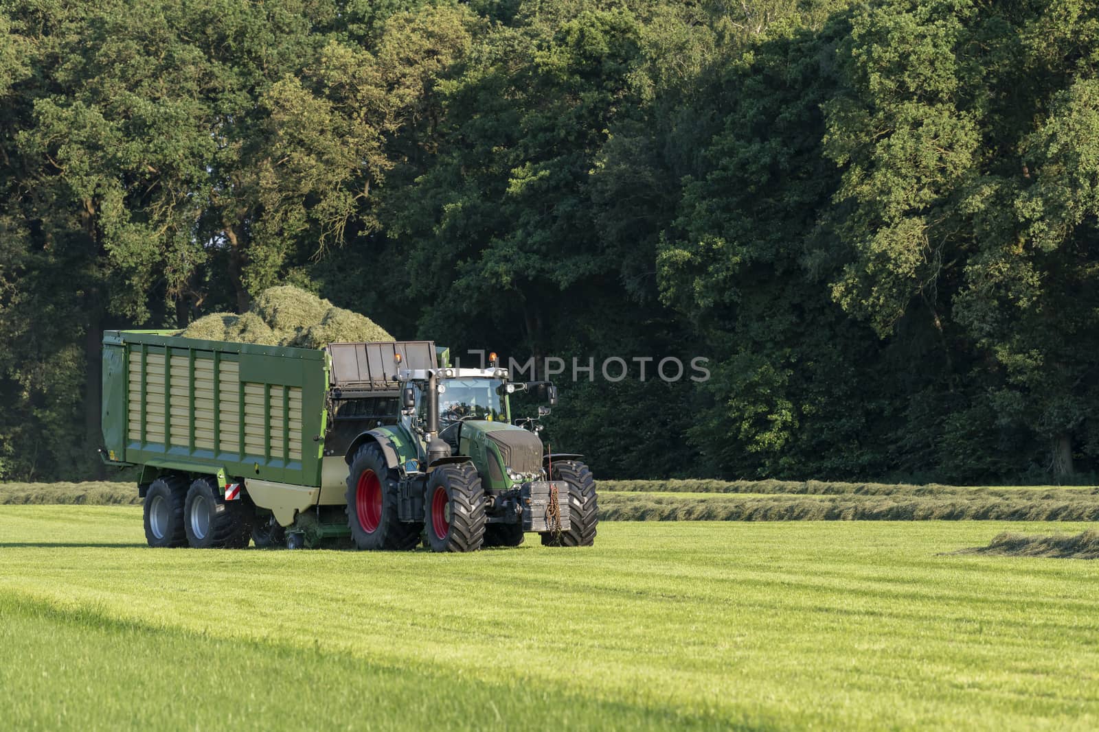 Green tractor picking up cut grass by Tofotografie