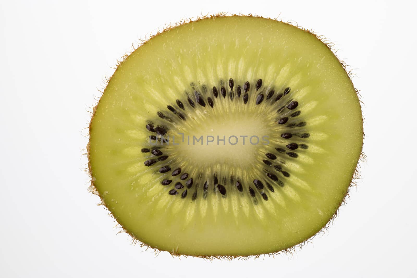 Slice of Kiwi fruit cut in backlight foto shot