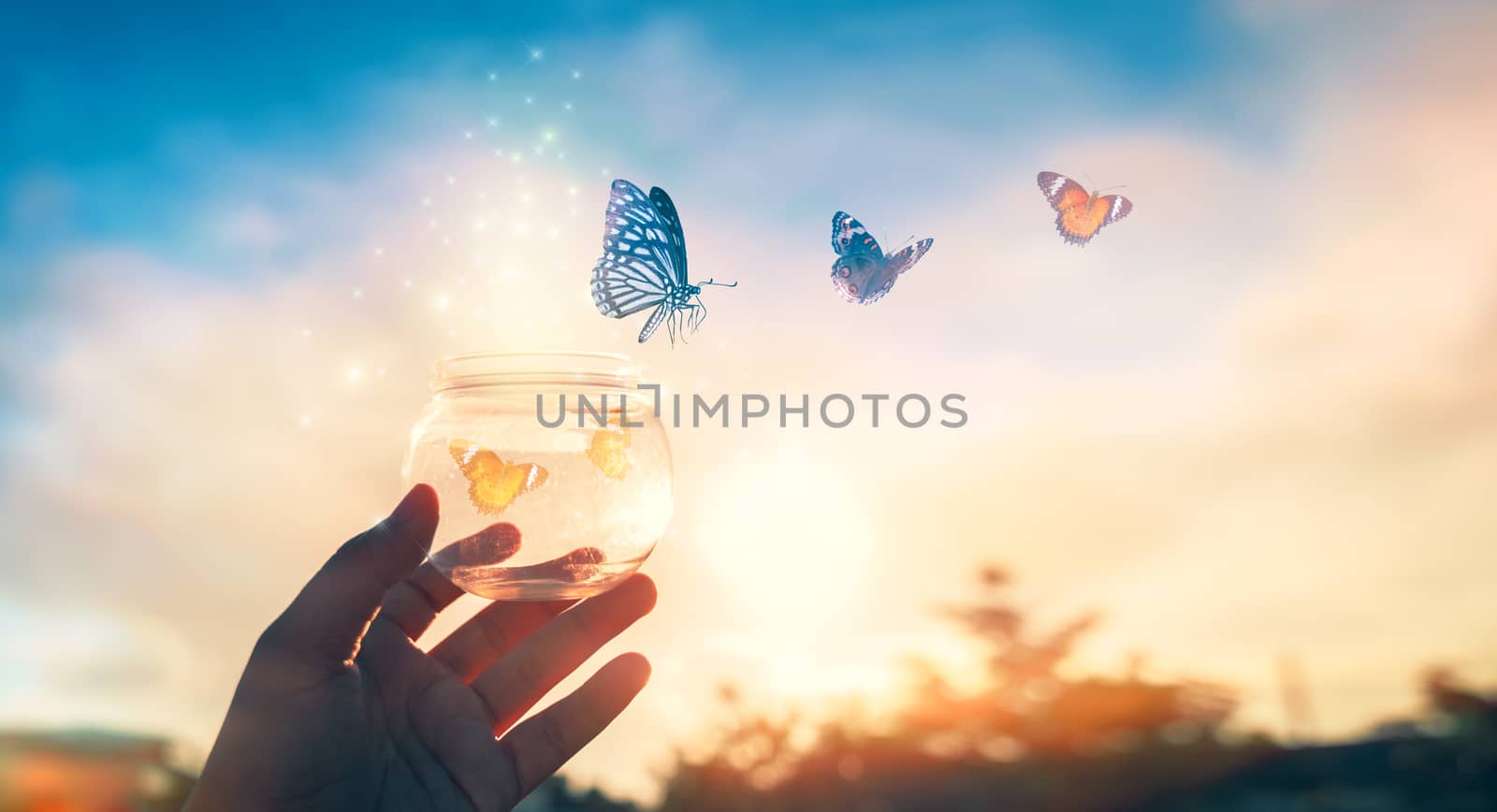 The girl frees the butterfly from the jar, golden blue moment Concept of freedom